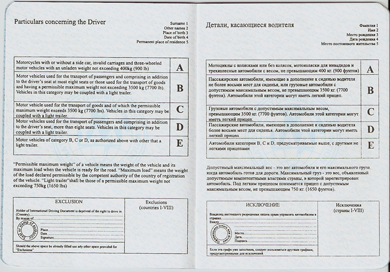 国際運転免許証（本、6ページ）