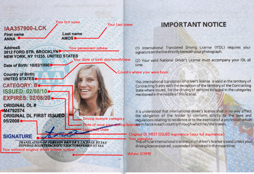 E-ITA International Drivers License